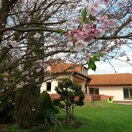 Villa Holiday Вилла *