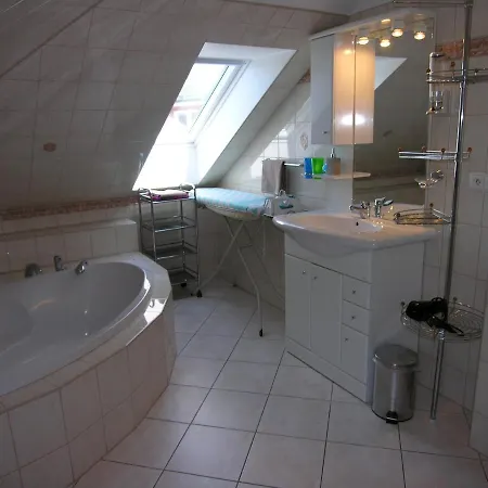 Villa Holiday Villa Karlovy Vary
