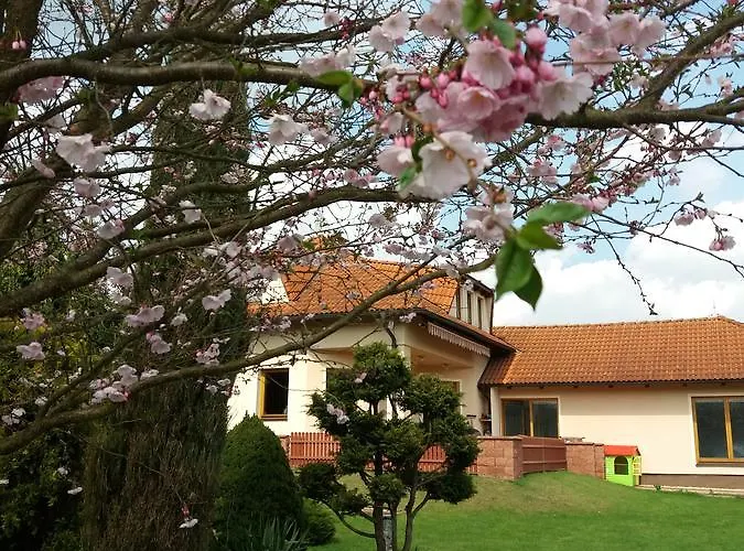 Villa Holiday Villa *