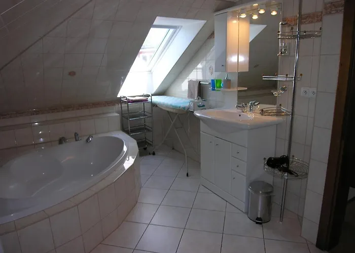 Villa Holiday Villa Karlovy Vary